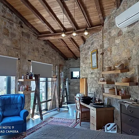 Otantik Tas Ev Holiday home *