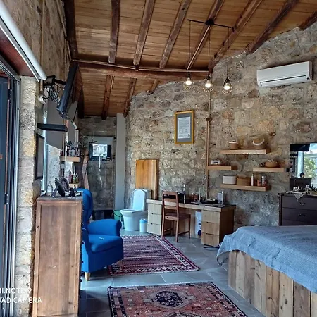 Otantik Tas Ev Holiday home *